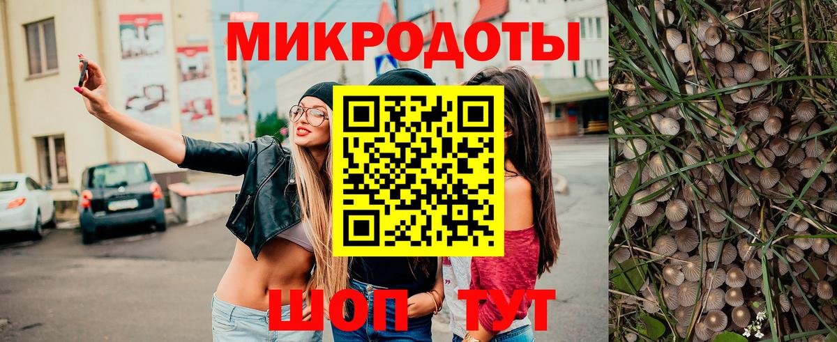 Галлюциногенные грибы мицелий Боровичи