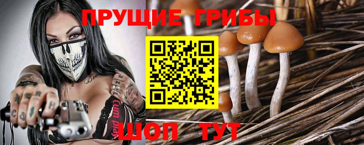  COCAIN Боровичи