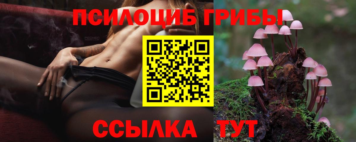 Галлюциногенные грибы GOLDEN TEACHER  наркотики  Боровичи  Вход с VPN 
